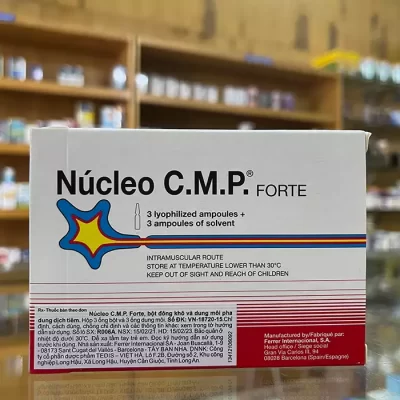 nucleo cmp forte ferrer 3 cap 3